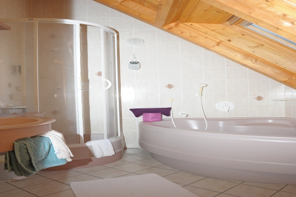 Hotel Sarbacher
